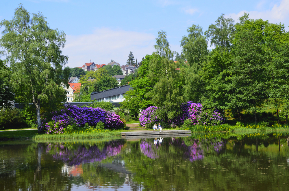 Kurpark in Braunlage, Harz
