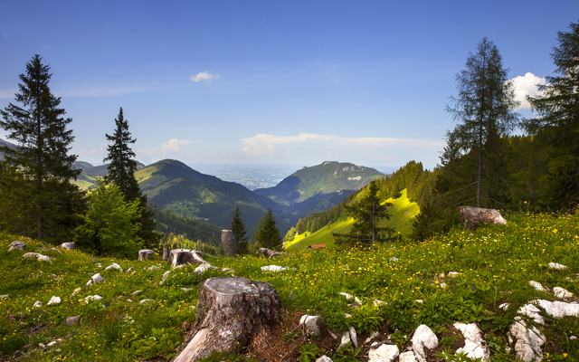 Berglandschaft mit grünen Wiesen, Baumstümpfen und bewaldeten Hügeln unter blauem Himmel.